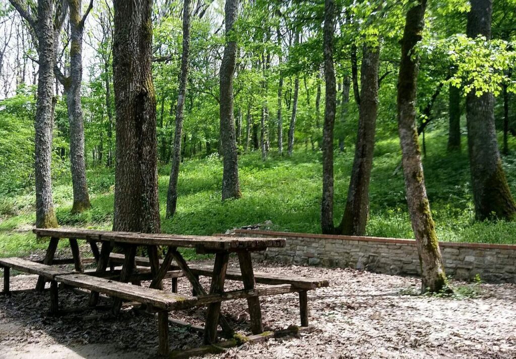 Tavolo da picnic nel bosco vicino a Faeto