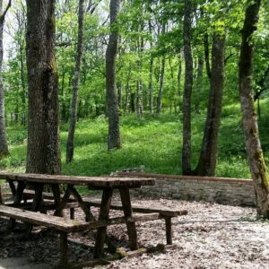 Tavolo da picnic nel bosco vicino a Faeto