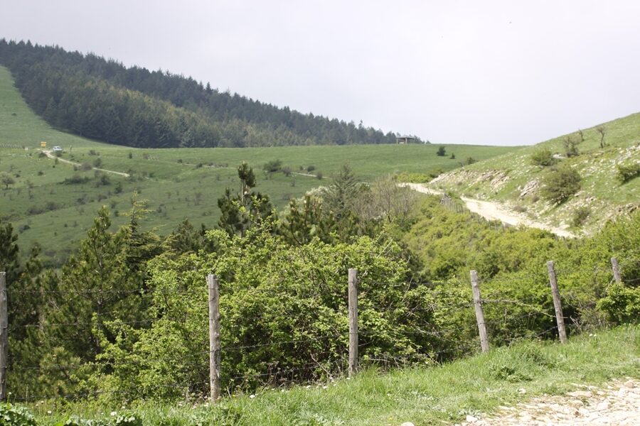 Pascoli e boschi sul Monte Cornacchia